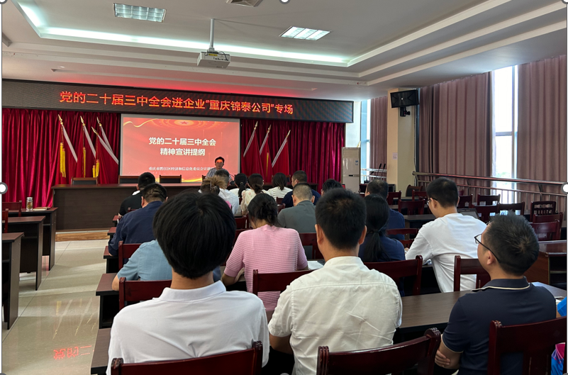 黔江区经信委宣讲团赴重庆锦泰公司宣贯 党的二十届三中全会精神