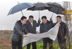 【顺安公司】沈承平到顺安公司调研厂区整体搬迁项目