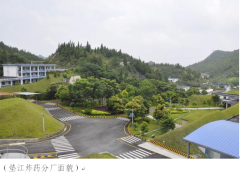 【易普力公司】做安全文化建设的先行者