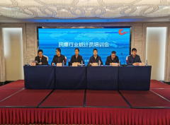 2019年民爆行业统计员培训会在合肥召开